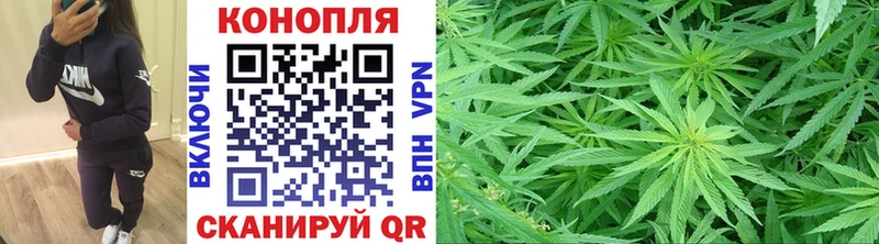 Бошки Шишки MAZAR  купить   Духовщина 